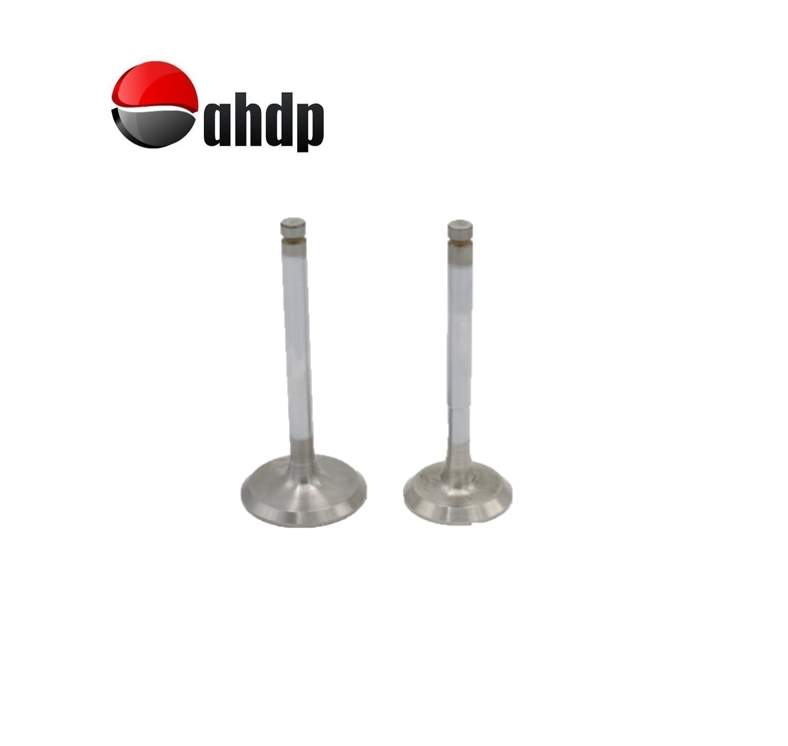 ENGINE VALVE SET IN+EX LOMBARDINI - LI019652099, LI019685104